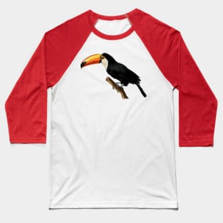 Toucan Baseball T-Shirt